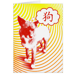 Chien chinois caractère CrazyPups