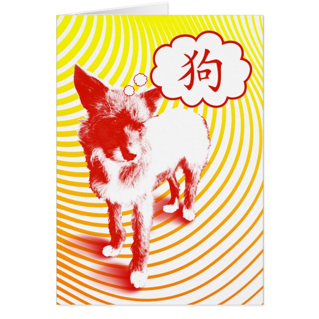 Chien chinois caractère CrazyPups (Devant)