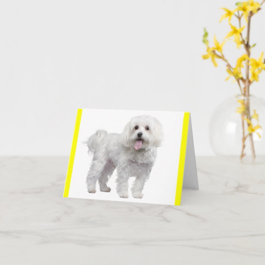 Chien chiot maltais blanc Carte pour notes jaune (Fleur jaune)