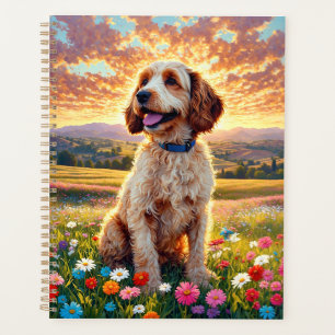Chien Cockapoo