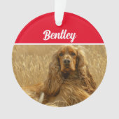 Chien Cocker Spaniel avec nom et photo Noël (devant)