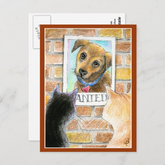 Chien coquelicot, chats, carte postale "Recherchée (Devant / Derrière)