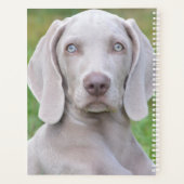 Chien coquelicot Weimaraner personnalisé (Dos)