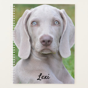 Chien coquelicot Weimaraner personnalisé