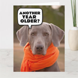 CHIEN CUTE AMUSANT BONNE BONNE ANNIVERSAIRE Cartes