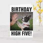 CHIEN D'ANNIVERSAIRE HIGH CINQ CARTE FUNNY (Fleur jaune)