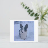 Chien dans la neige Carte postale de vacances (Debout devant)