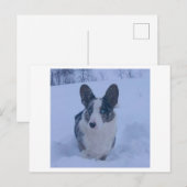 Chien dans la neige Carte postale de vacances (Devant / Derrière)