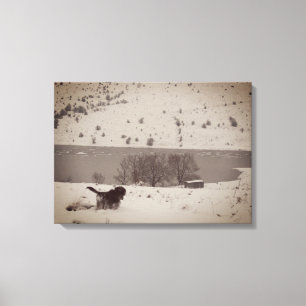 Chien dans la toile de neige Imprimer