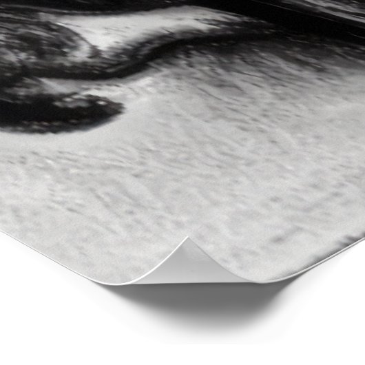 Chien dans le parc noir et blanc AI Art Poster (Coin)