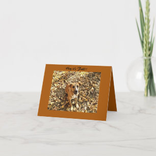 Chien dans les feuilles Carte de voeux d'Automne
