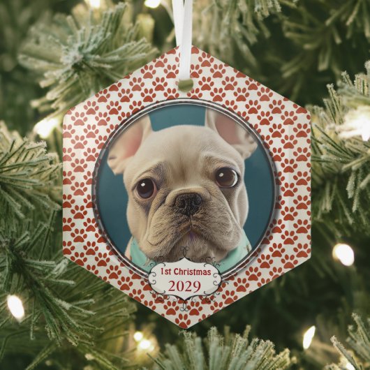 Chien d'argent pince mes premiers ornements de Noë (Insitu)