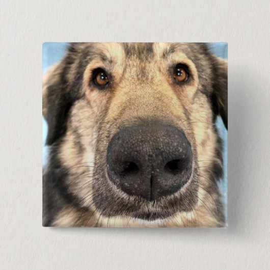 Chien de badge (Devant)
