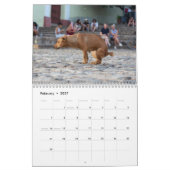 Chien de baleines calendrier 2026 (Feb 2027)