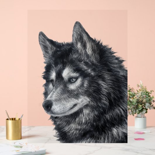 Chien de Balto (Mariage)