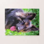 Chien de berger allemand - puzzle (Horizontal)