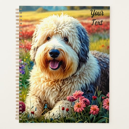 Chien de berger anglais ancien (Devant)