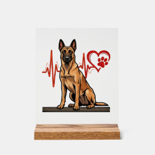 Chien de berger belge Battement de coeur Patte Coe