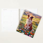 Chien de berger Border Collie (Devant avec enveloppe)