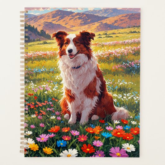 Chien de berger Border Collie (Devant)