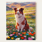 Chien de berger Border Collie (Dos)