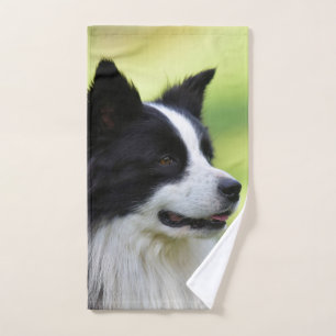Chien de berger border collie noir et blanc