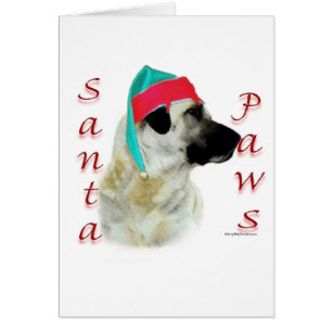 Chien de Berger de l'Anatolie Père Noël Paws