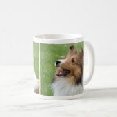 Chien de berger de Shetland sur la tasse (Devant droit)