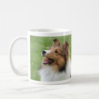 Chien de berger de Shetland sur la tasse