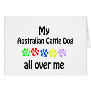 Chien de bétail australien