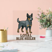 Chien de bétail australien Loyal Blue Heeler (Mariage)