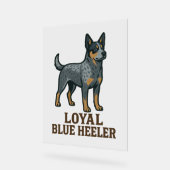 Chien de bétail australien Loyal Blue Heeler (Angle)