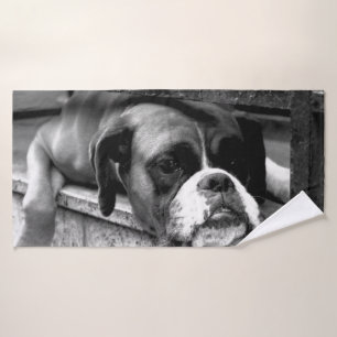 Chien de boîte sur le rebord de fenêtre btcnm