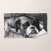 Chien de boîte sur Windows rebord btcna (Serviette à main)