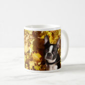 Chien de Boston Terrier entouré par la tasse de (Devant droit)