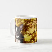 Chien de Boston Terrier entouré par la tasse de (Devant gauche)