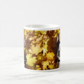 Chien de Boston Terrier entouré par la tasse de (Centre)