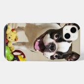Chien de Boston Terrier jouant avec des jouets (Verso Horizontal)