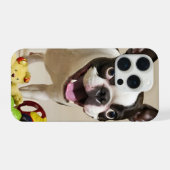 Chien de Boston Terrier jouant avec des jouets (Verso Horizontal)