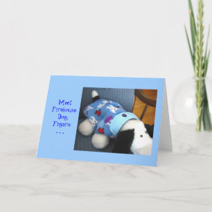 Chien de bouche d'incendie de rassemblement, carte