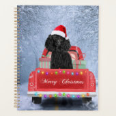 Chien de caniche en neige assis dans un camion de  (Devant)