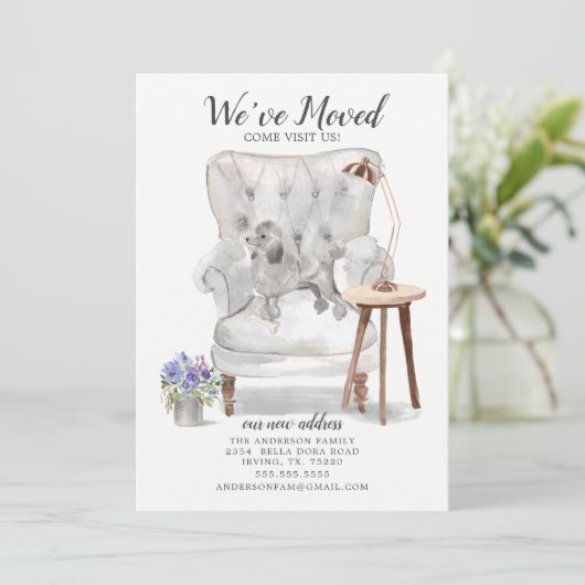 Chien de caniche gris | Faire-part de déplacement (Debout devant)