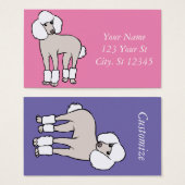 Chien de caniche standard Thunder_Cove (Devant & derrière)