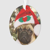 Chien de carlin de Noël (devant)