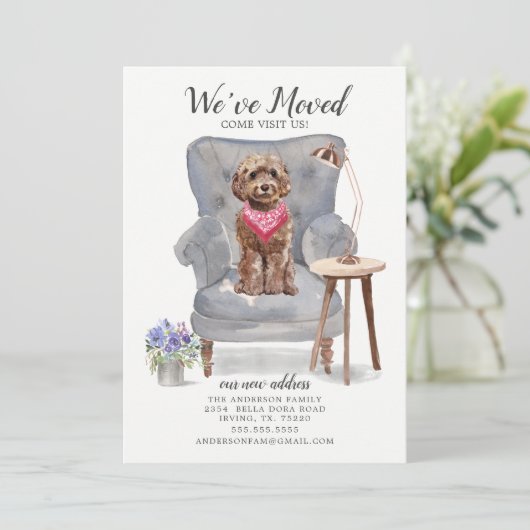 Chien de Cockapo Brown | Faire-part de déplacement (Debout devant)