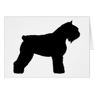 Chien de DES Flandres de Bouvier (dans le noir)
