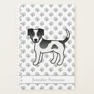 Chien de ferme danois-suédois noir et blanc & Nom
