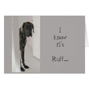 Chien de great dane c'a été Ruff que je suis ici