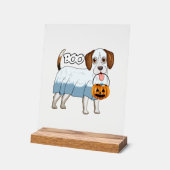 Chien de Halloween Beagle Fantôme (Angle)