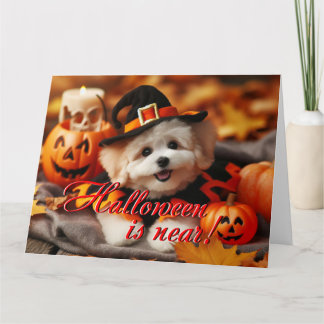 Chien de la carte d'Halloween Maltipoo